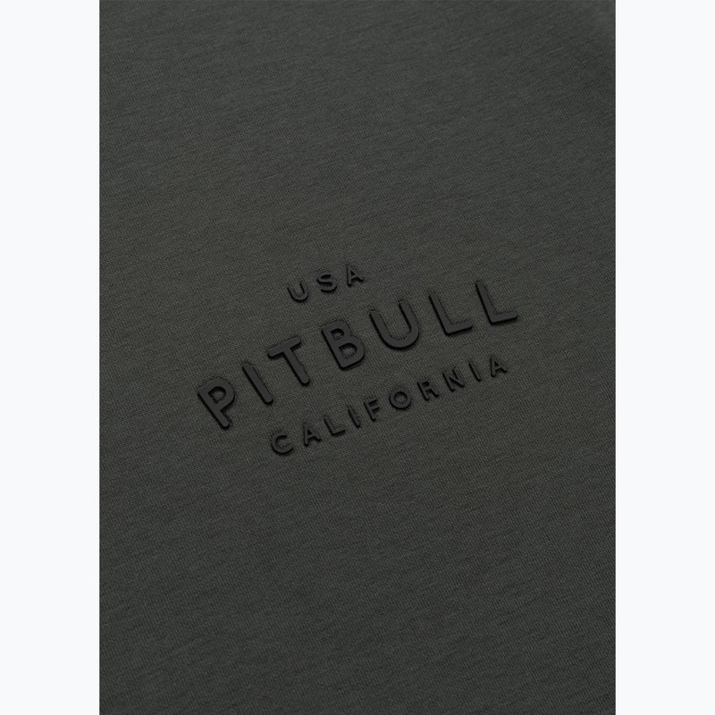 Bluza męska Pitbull Sampson Hooded Sweatshirt grey/green 10