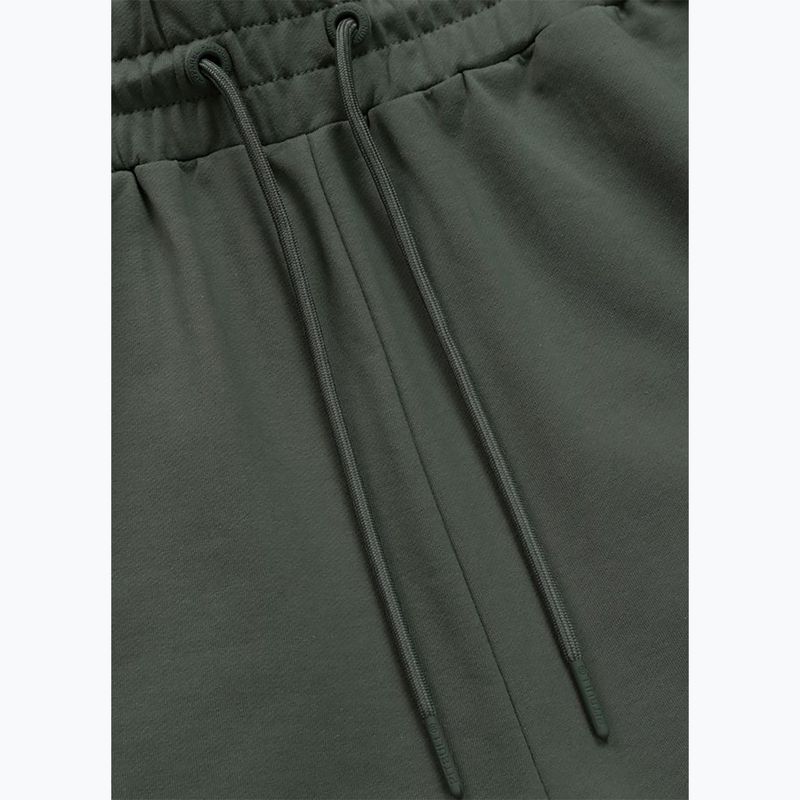 Spodenki męskie Pitbull Nugget Small Logo sage green 8