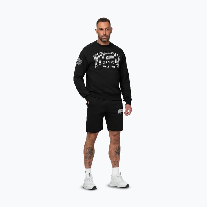 Bluza męska Pitbull Badger Crewneck black 2