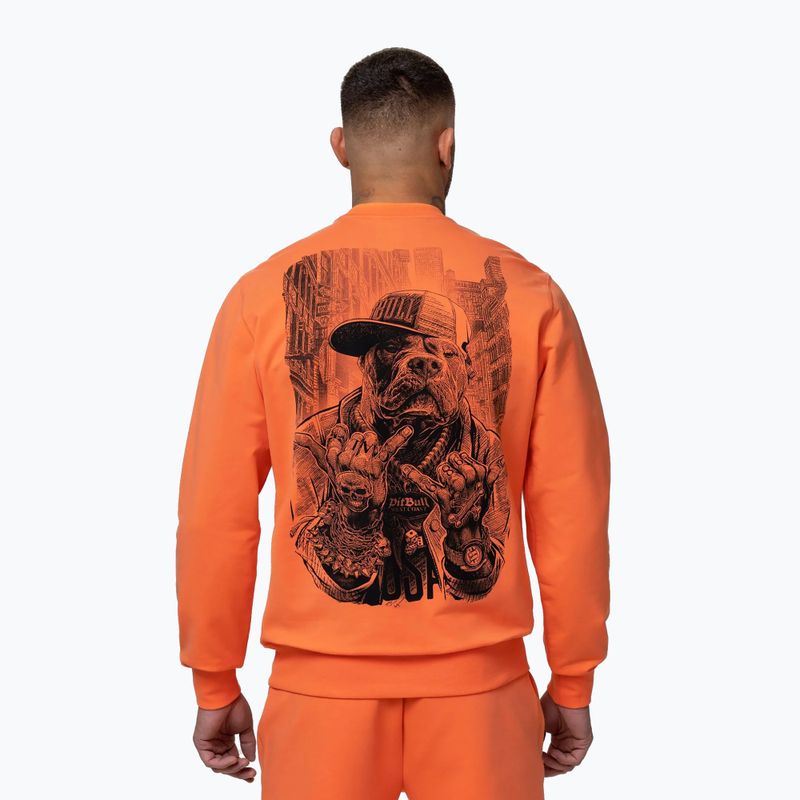 Bluza męska Pitbull USA Crewneck Sweatshirt fluo orange 3