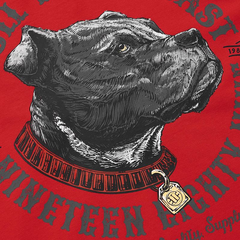 Bluza męska Pitbull Strenght & Respect Sweatshirt Hooded red 9