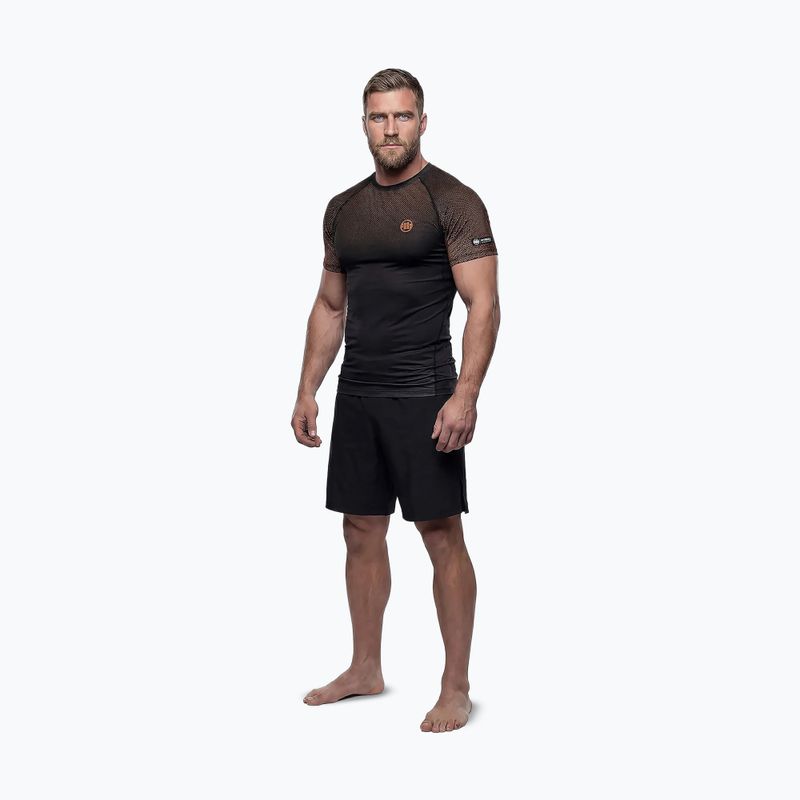 Rashguard męski Pitbull Belt Rashguard brown 2