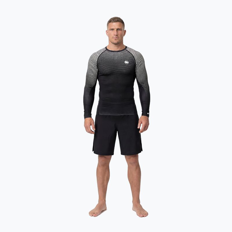 Rashguard longsleeve męski Pitbull Belt Rashguard black 2