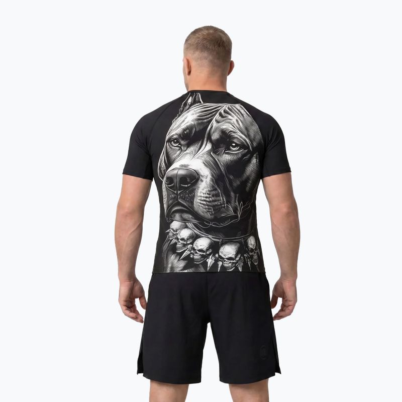 Rashguard męski Pitbull Blacky Rashguard black 3