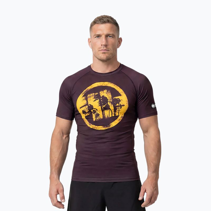Koszulka męska Pitbull Rashguard Logo Palms brown