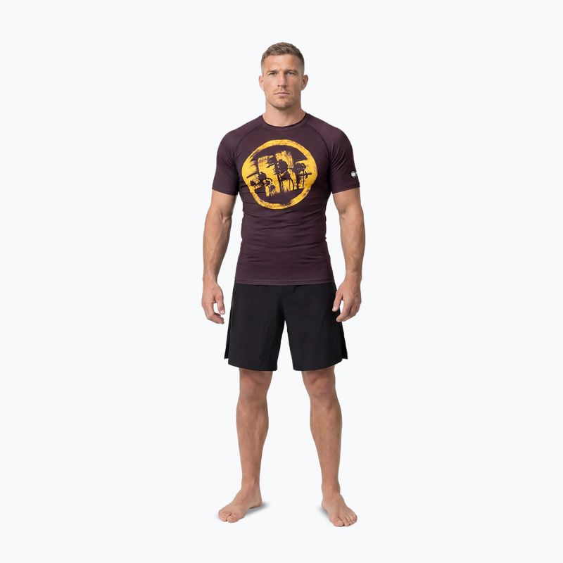 Koszulka męska Pitbull Rashguard Logo Palms brown 2