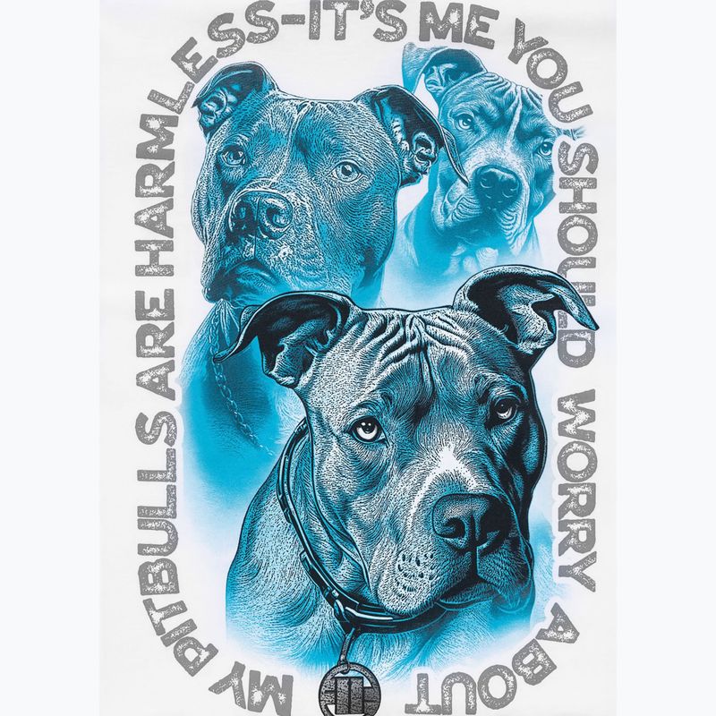 Koszulka męska Pitbull Protector white 11
