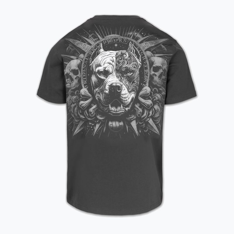 Koszulka męska Pitbull World graphite 2