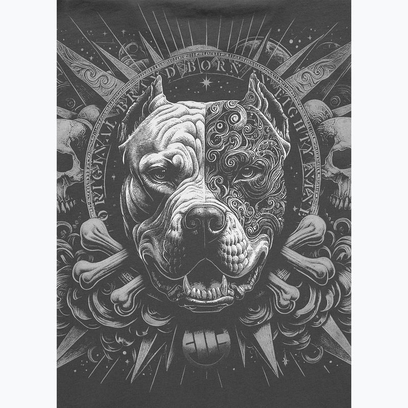 Koszulka męska Pitbull World graphite 5