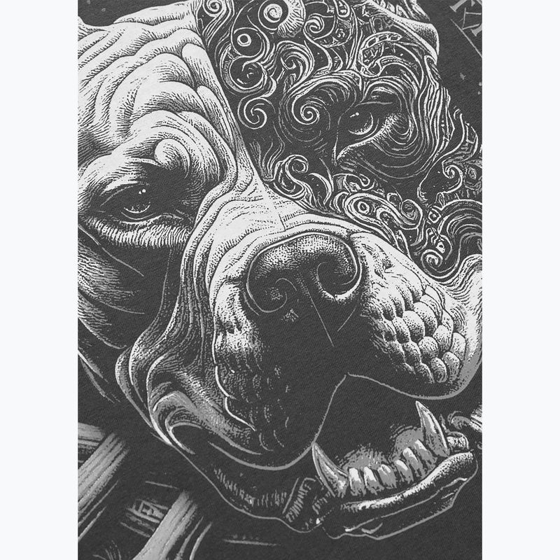 Koszulka męska Pitbull World graphite 6