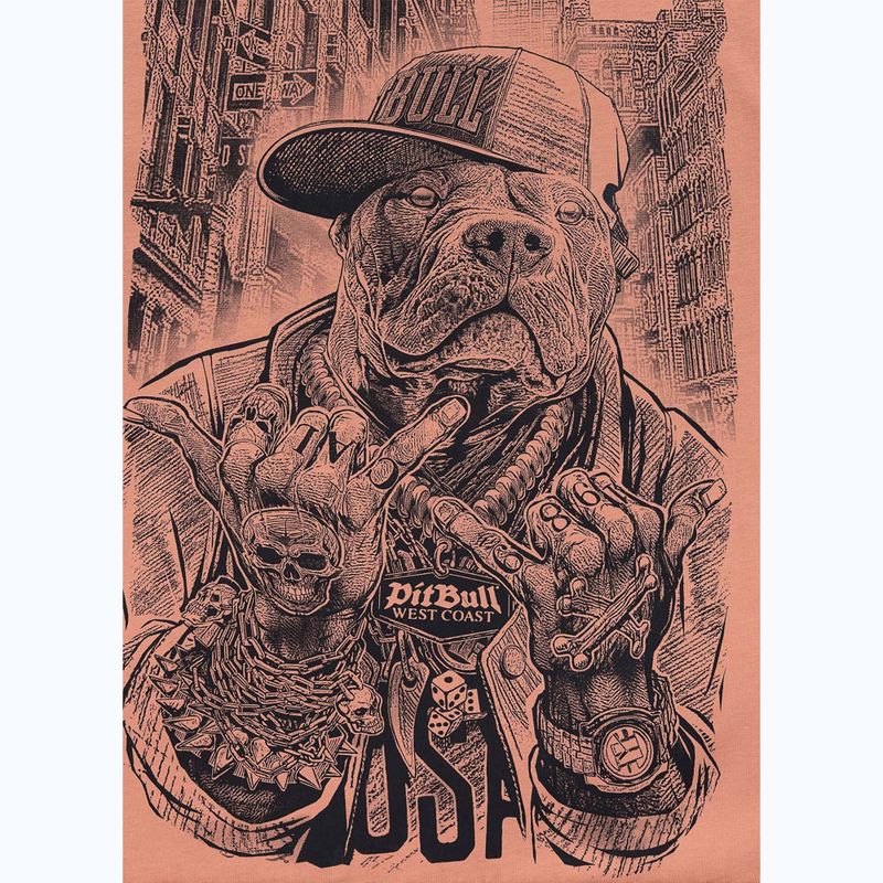 Koszulka męska Pitbull Avenue pale salmon 5