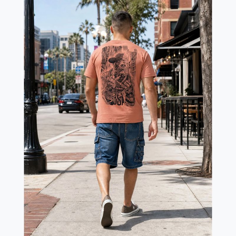 Koszulka męska Pitbull Avenue pale salmon 9