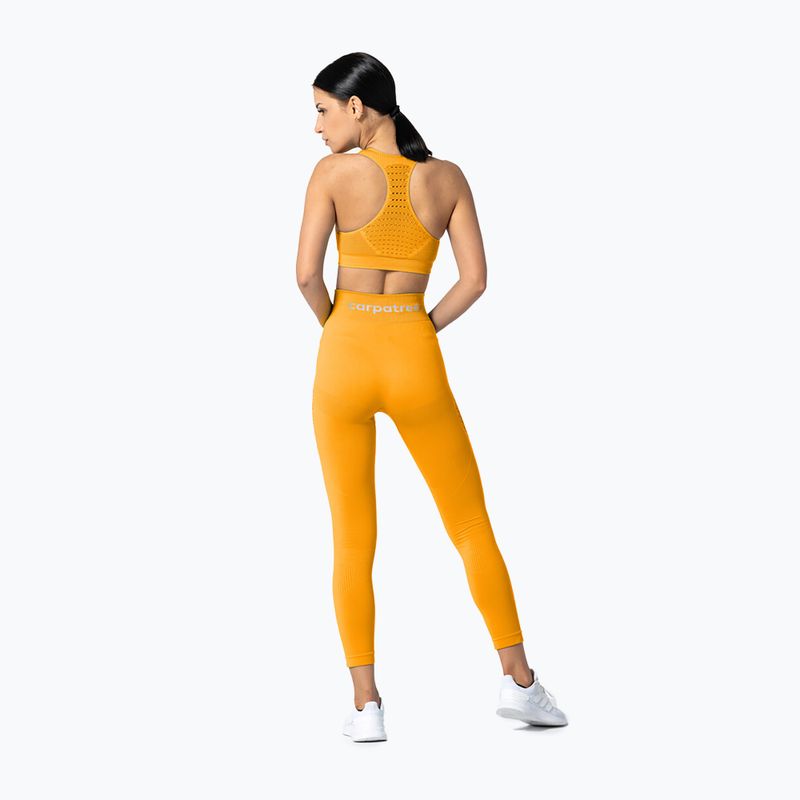 Legginsy damskie Carpatree Phase Seamless golden yellow 5