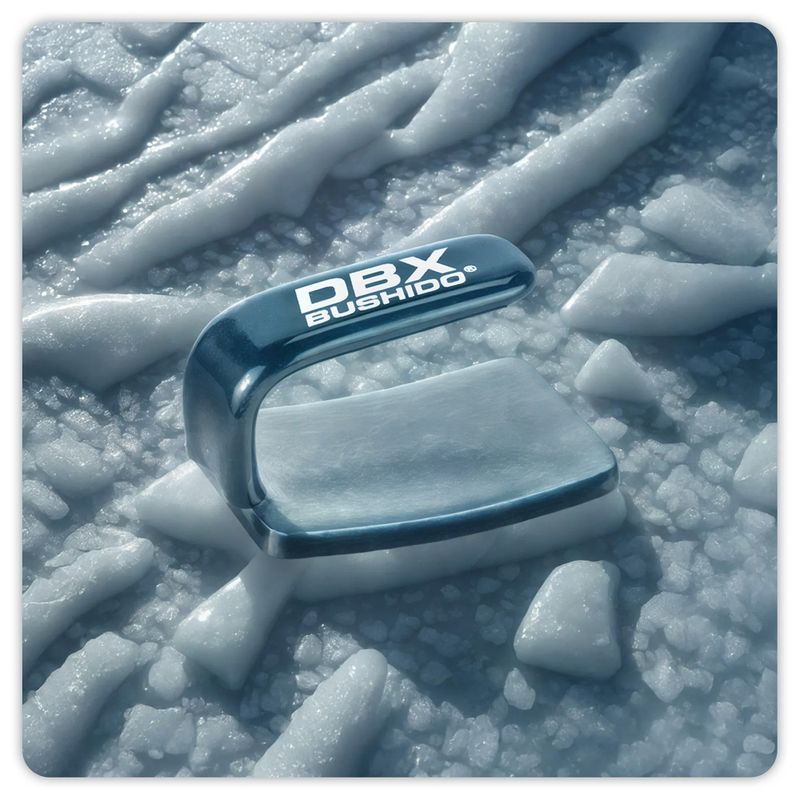 Żelazko bokserskie DBX BUSHIDO Ferro black/silver 7