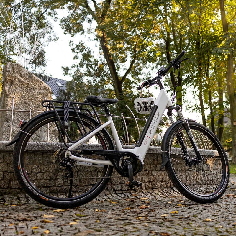 Rower elektryczny EcoBike LX300 48V 10.4Ah 499.2Wh X300 Greenway white 19