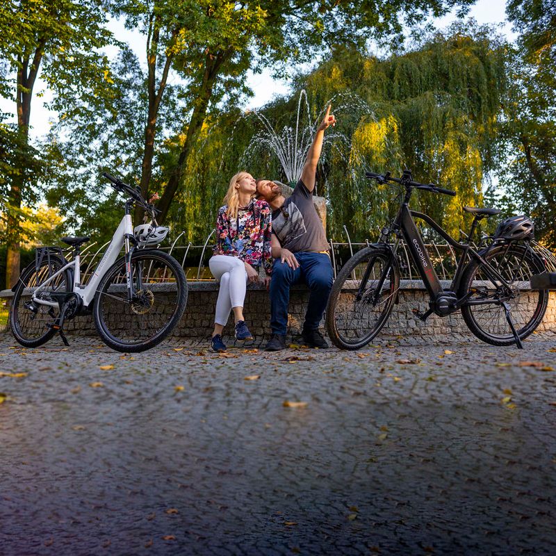 Rower elektryczny EcoBike LX300 48V 10.4Ah 499.2Wh X300 Greenway white 20
