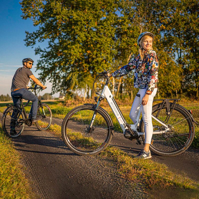 Rower elektryczny EcoBike LX300 48V 10.4Ah 499.2Wh X300 Greenway white 21
