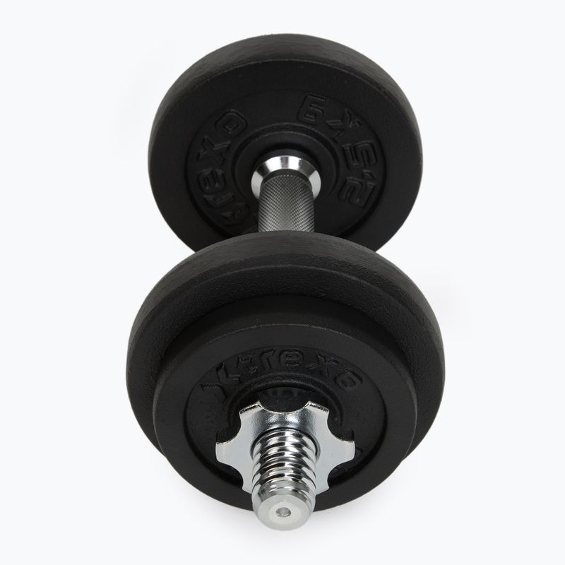 Zestaw hantli XTREXO DK20 20 kg 3