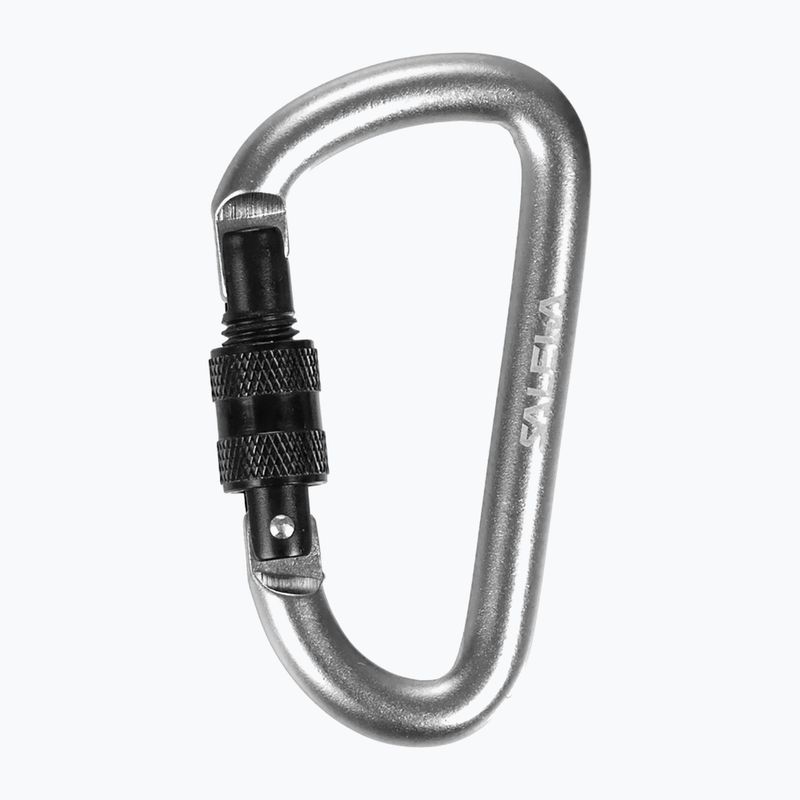 Karabinek Salewa D-Shape Carbiner With Screw black