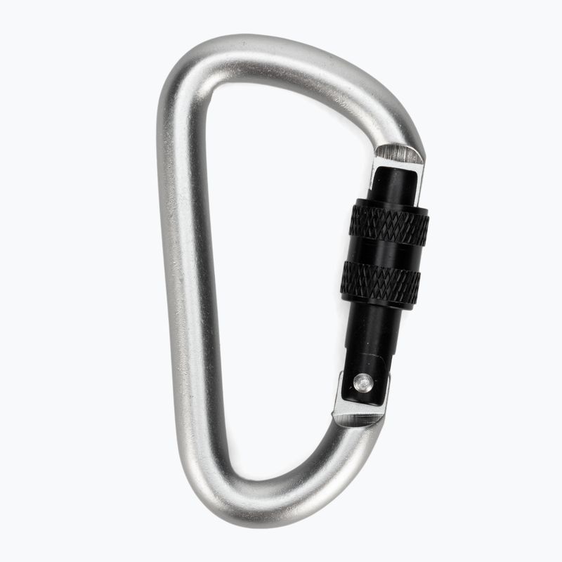 Karabinek Salewa D-Shape Carbiner With Screw grey 2