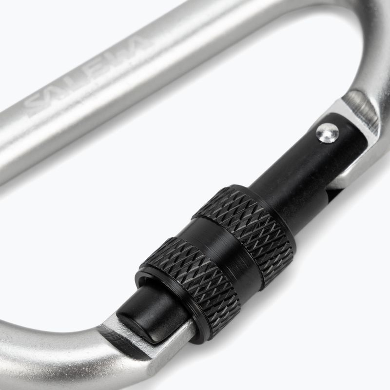 Karabinek Salewa D-Shape Carbiner With Screw grey 3