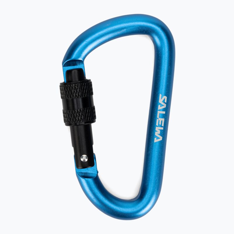 Karabinek Salewa D-Shape Carbiner With Screw blue