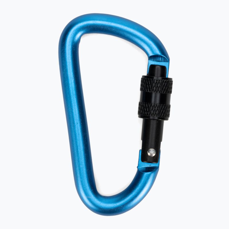 Karabinek Salewa D-Shape Carbiner With Screw blue 2