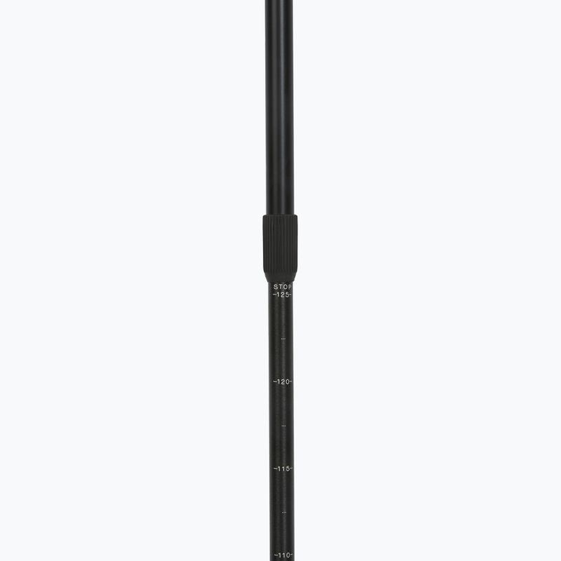 Kije nordic walking Fizan Smu Active black 4