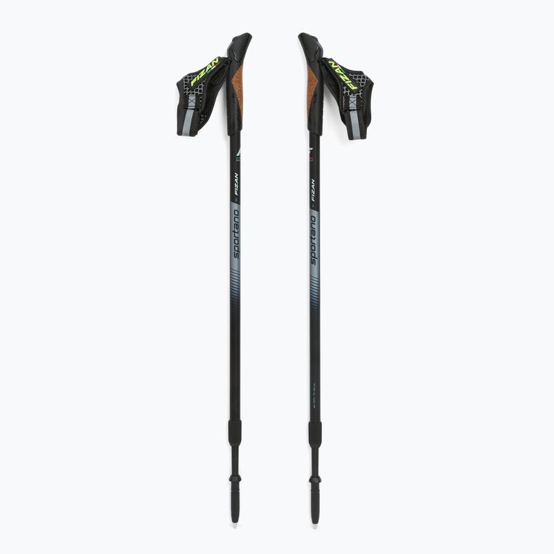 Kije nordic walking Fizan Smu Active black 5