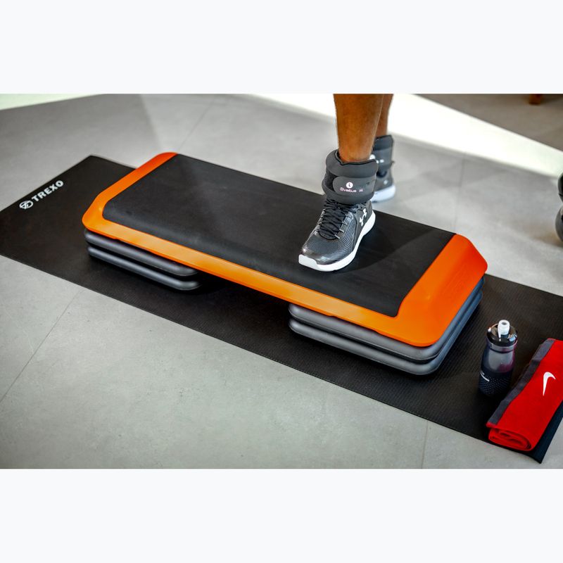 Step Trexo Aerobic max stability 6