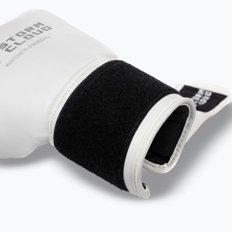 Rękawice bokserskie StormCloud Muay Thai Blizzard 2.0 white/silver 7