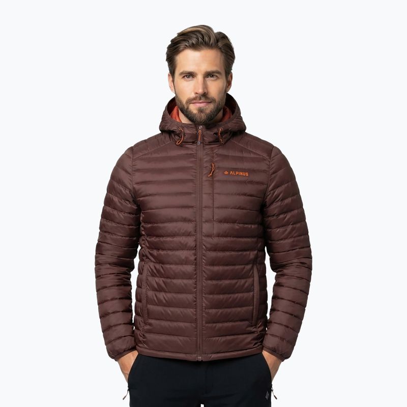 Kurtka puchowa męska Alpinus Kiruna brown