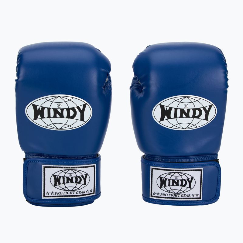 Rękawice bokserskie WINDY Classic Synthetic Leather blue 2