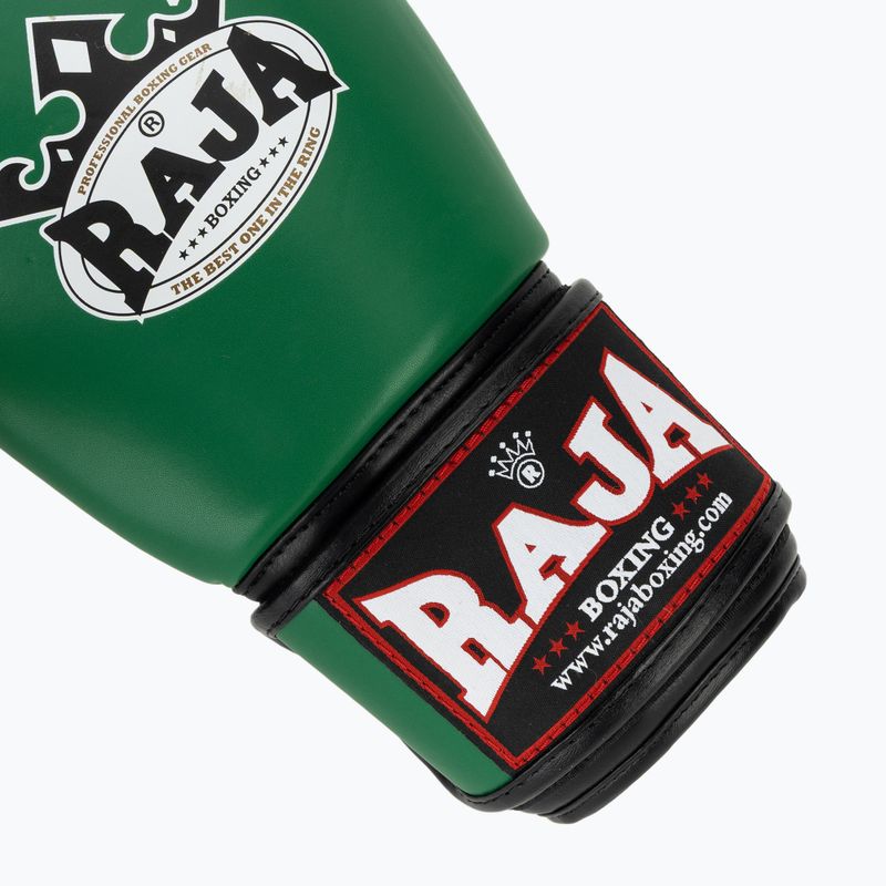 Rękawice bokserskie RAJA BOXING Single Semi Leather green 6
