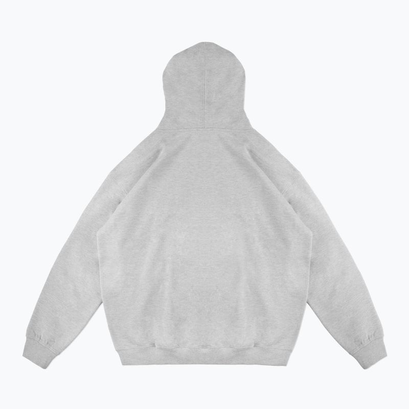 Bluza męka PROSTO Biolog Hoodie gray 2