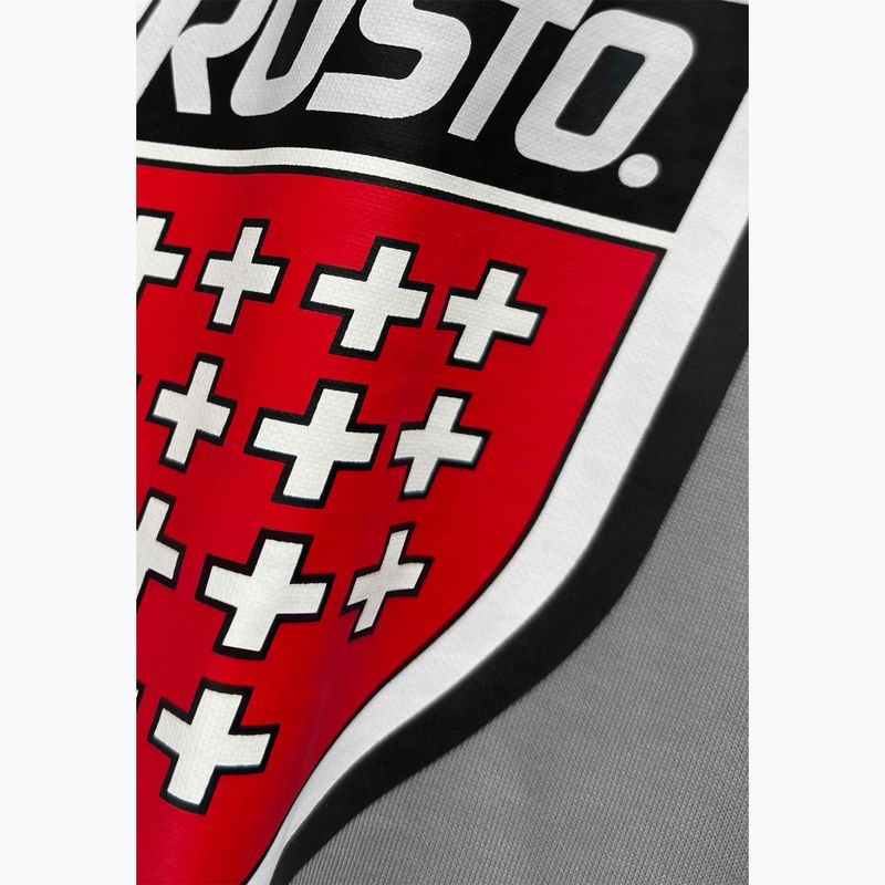 Bluza męska PROSTO Big Shield Crewneck gray 3