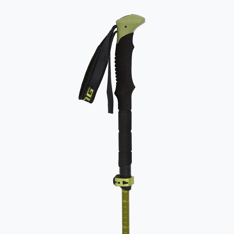 Kije trekkingowe Viking Terve 2.0 green 2