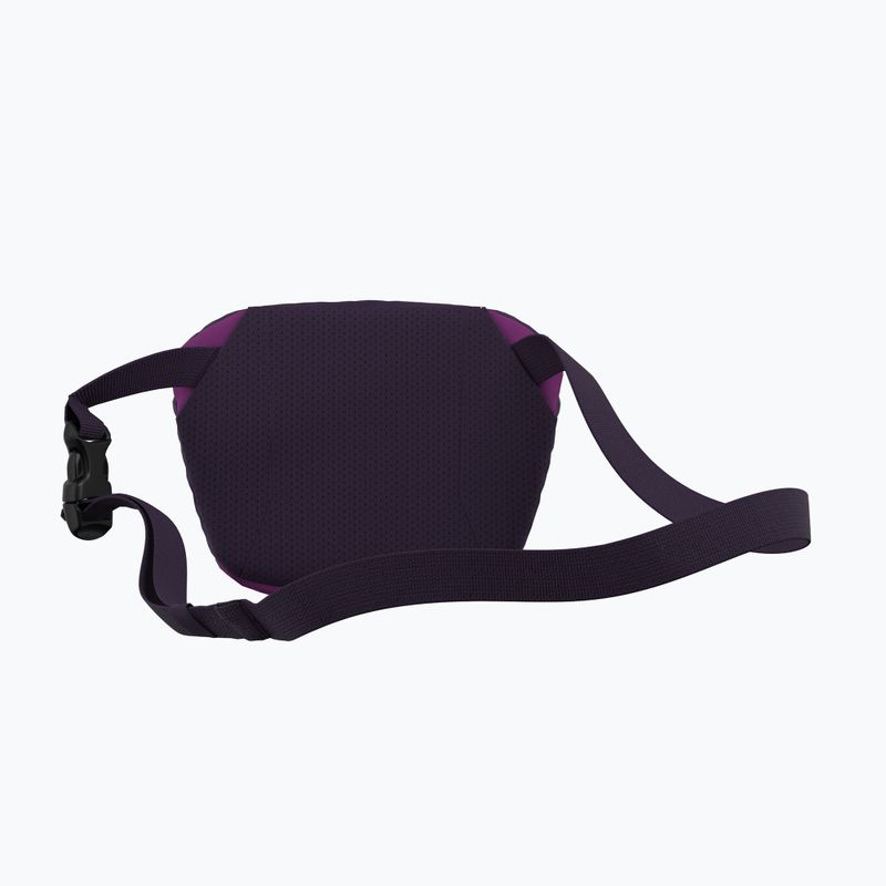 Saszetka nerka Arc'teryx Mantis 1 Waist Pack groovie/expanse 7