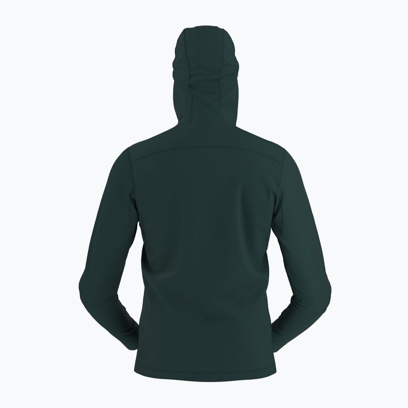 Bluza trekkingowa męska Arcteryx Rho LT Hoody pytheas 9