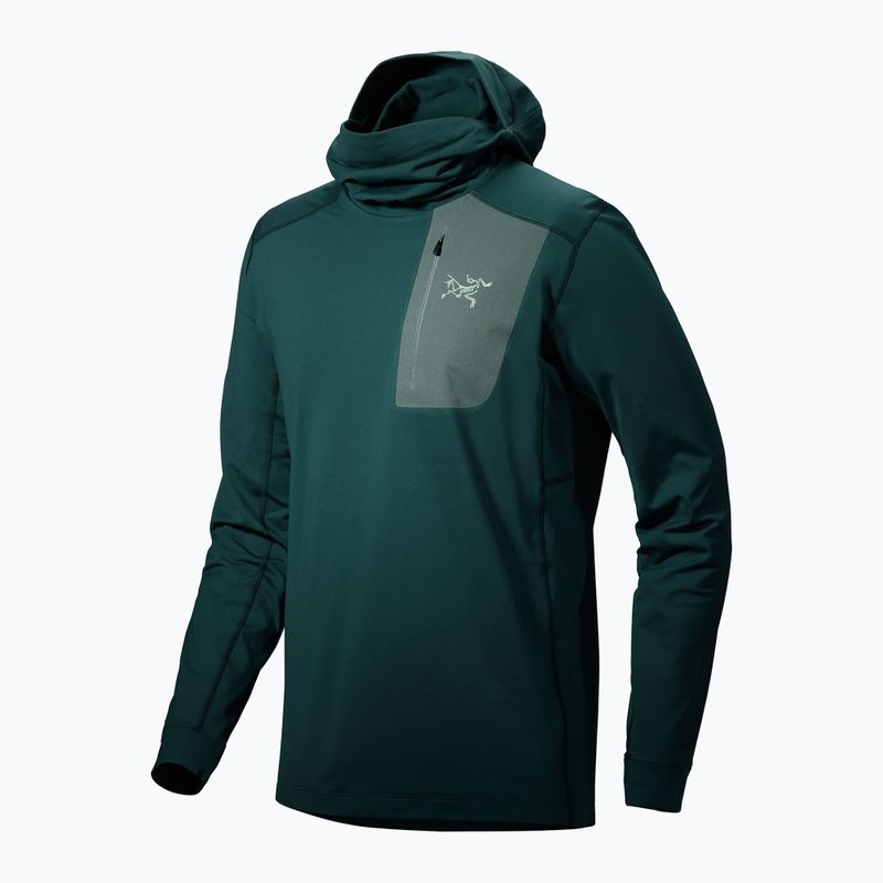 Bluza trekkingowa męska Arcteryx Rho LT Hoody pytheas 8