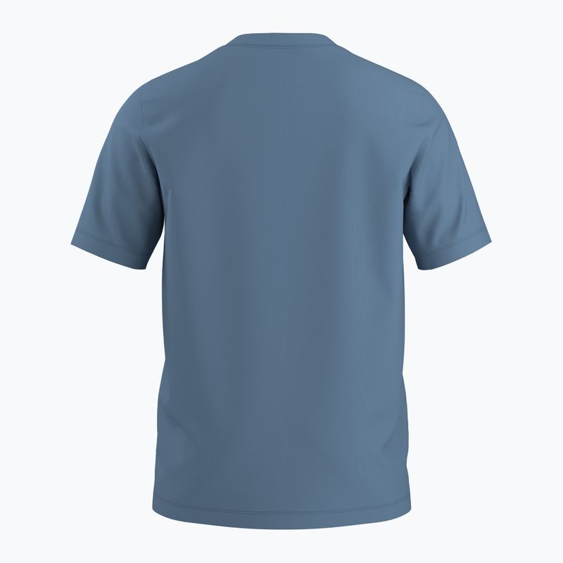 Koszulka męska Arcteryx Arc'Word Logo stone wash 6