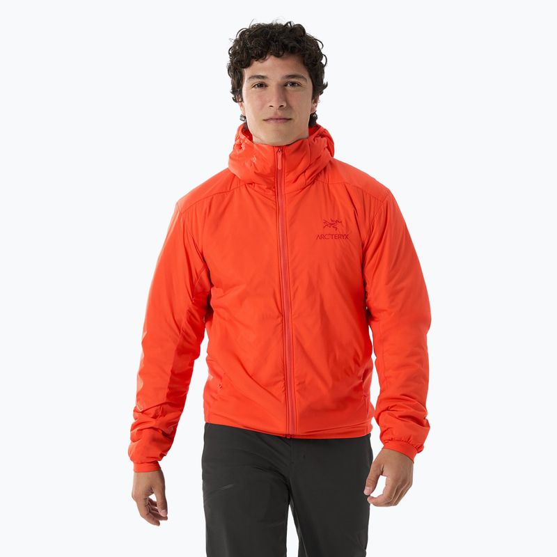 Kurtka ocieplana męska Arcteryx Atom Hoody solaris