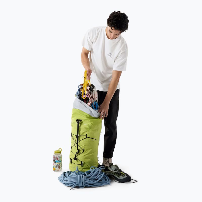 Koszulka męska Arcteryx Kragg Sl Cotton Bird Word white light/black 2