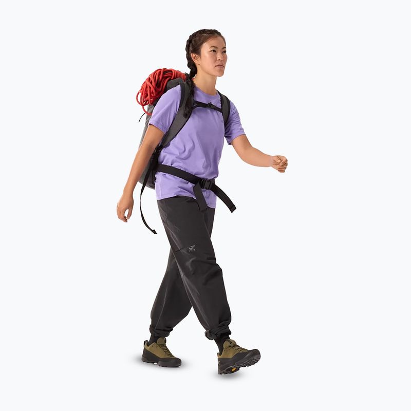 Koszulka damska Arcteryx Kragg Sl Cotton Emblem Crew aster 2