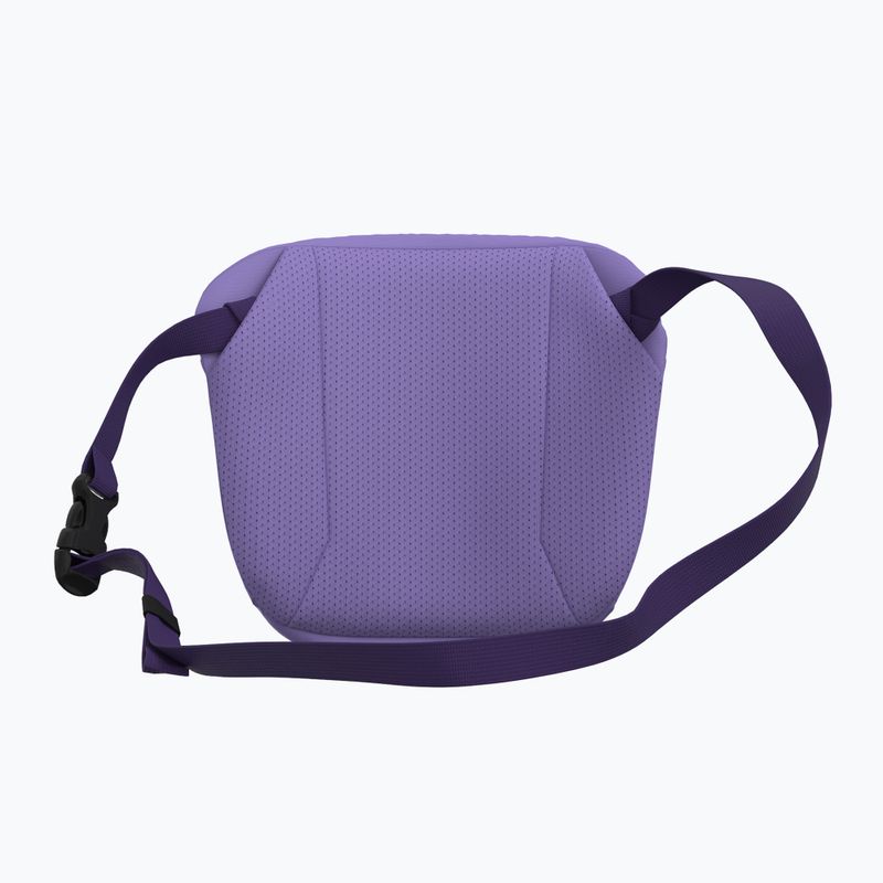 Saszetka Arc'teryx Mantis 2 2,5 l aster/azalea 3
