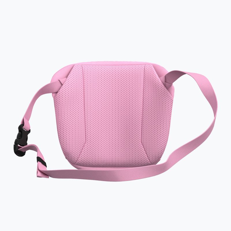 Saszetka Arcteryx Mantis 2 2,5 l pineberry 3