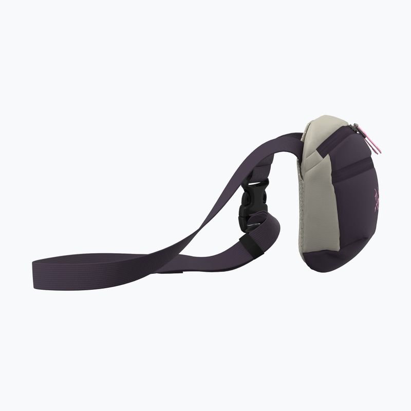 Saszetka nerka Arcteryx Mantis 1 1,5 l cosmic bloom 4