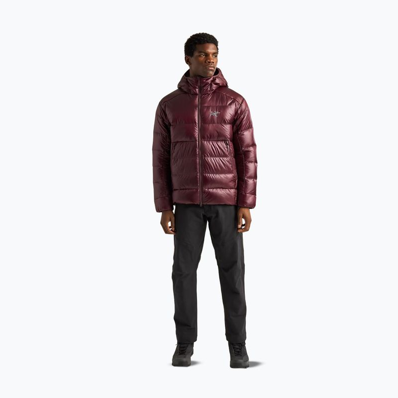 Kurtka ocieplana męska Arcteryx Cerium SV Hoody ultima 2