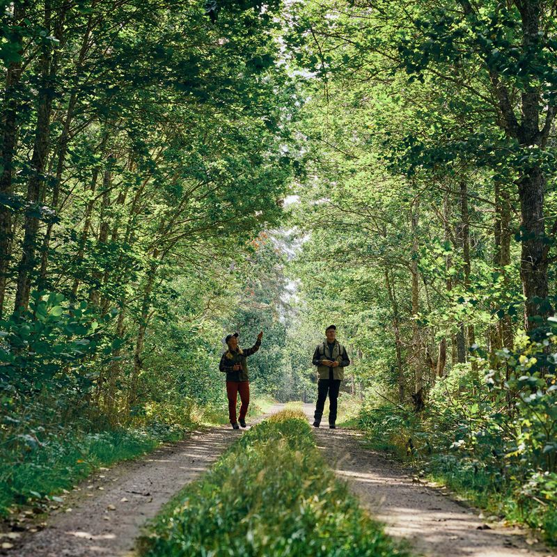 Spodnie trekkingowe męskie Pinewood Caribou TC Extreme moss green/black 6