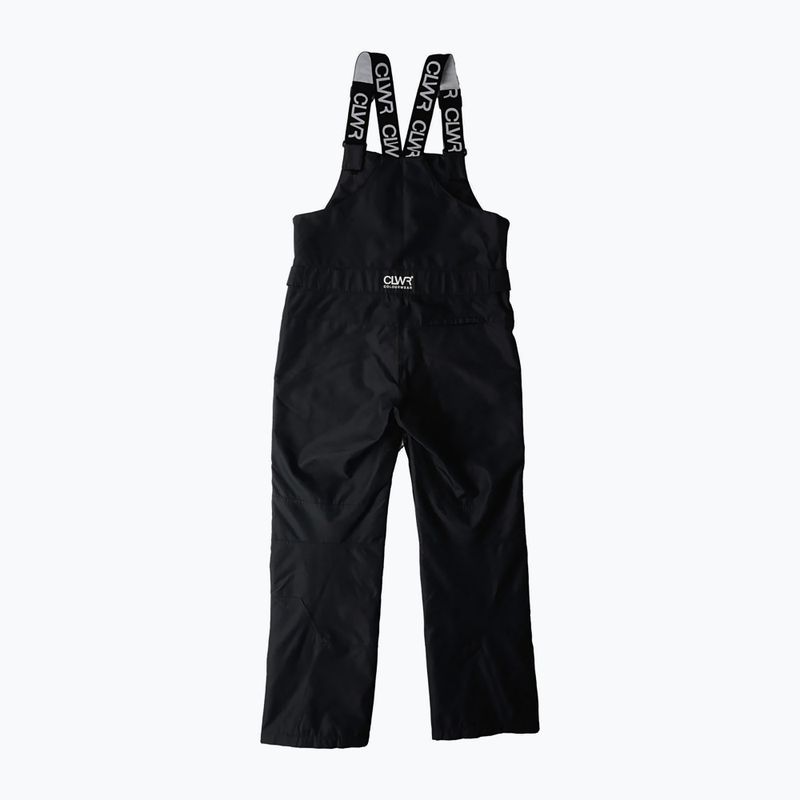 Spodnie snowboardowe męskie Colourwear Slash Bib black 11
